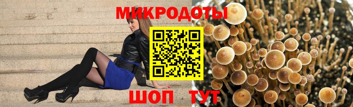 Кыштым  цена   Вход с VPN  Галлюциногенные грибы GOLDEN TEACHER 